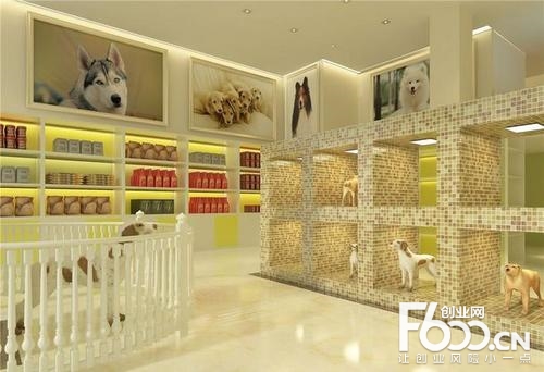新興投資行業：寵物店加盟前景廣闊，掌握技巧即可走向成功